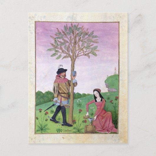 スケッチ樹液 ポストカード (正面)