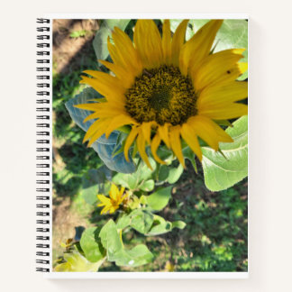 スケッチ、スケッチ、ジャーナリング ノートブック