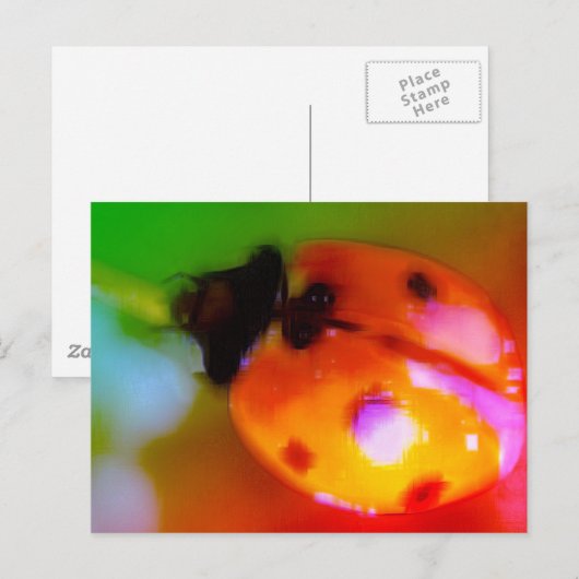 スケッチ ポストカード (正面/裏面)