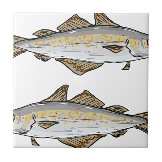 スケトウダラの魚のスケッチ タイル (正面)