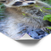 スケリープリント フォトプリント            (角)