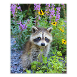 スケリープリント フォトプリント           