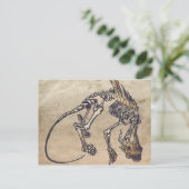 スケリーポストカード ポストカード (スタンド正面)