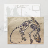 スケリーポストカード ポストカード (正面/裏面)