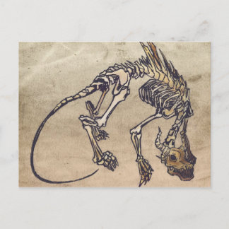 スケリーポストカード ポストカード