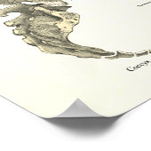 スケルトンと背骨の解剖学のポスターの骨 ポスター (角)