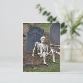 スケルトンの復活 ポストカード (スタンド正面)