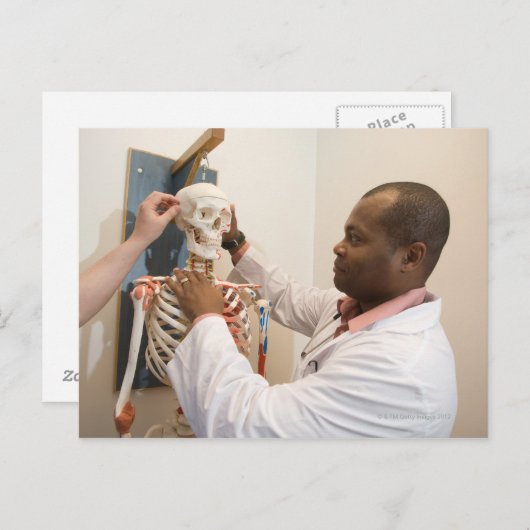 スケルトンの解剖学を研究している学生の医師 ポストカード (正面/裏面)