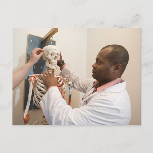 スケルトンの解剖学を研究している学生の医師 ポストカード (正面)