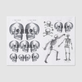 スケルトンスカルスカルnボーンデコップコラージュTi 薄葉紙