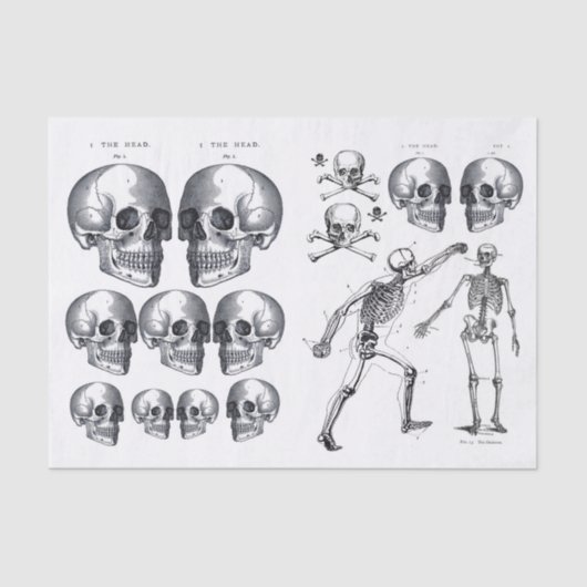 スケルトンスカルスカルnボーンデコップコラージュTi 薄葉紙 (正面)