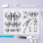 スケルトンスカルスカルnボーンデコップコラージュTi 薄葉紙 (クラフト)