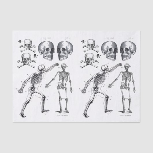 スケルトンスカルスカルnボーンデコップコラージュTi 薄葉紙 (正面)