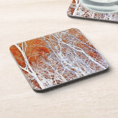 スケルトンフォレストII コースター (左側)