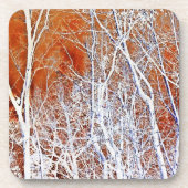 スケルトンフォレストII コースター (正面)