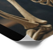 スケルトンポスター ポスター (角)