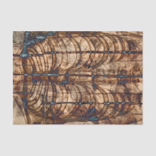 スケルトンリブケージベージュブラウングレーヴィンテージX線 薄葉紙 (正面)