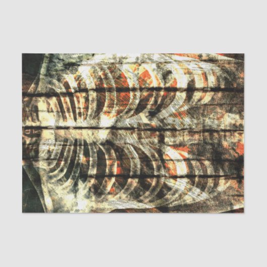 スケルトンリブケージベージュブラックオレンジヴィンテージX線 薄葉紙 (正面)