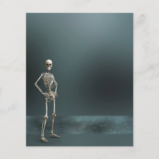 スケルトン幽霊のよく出るチラシ紙シート (正面)