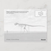 スケルトン男歩くスケルトン恐竜SD ポストカード (裏面)