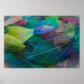 スケルトン葉 ポスター (正面)