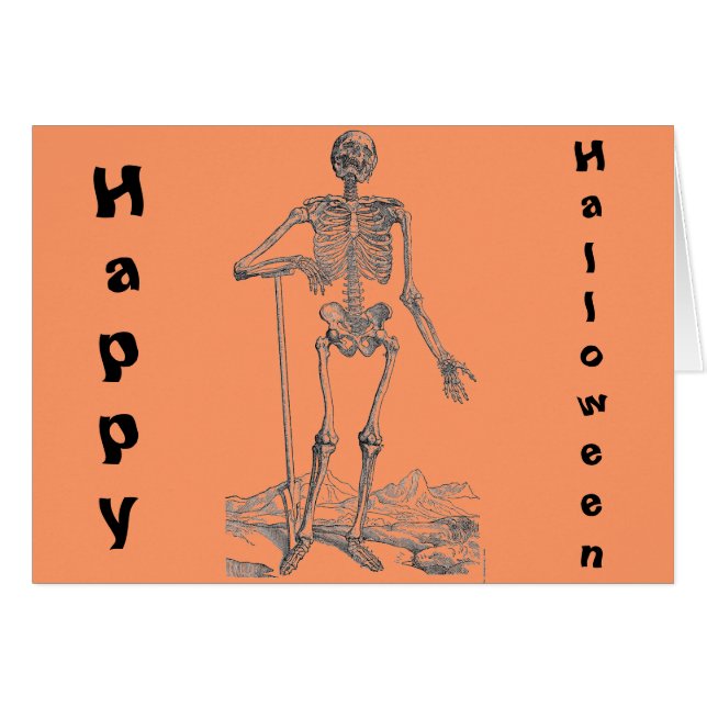 スケルトン (正面横)