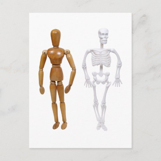 スケルトン100309 ポストカード (正面)
