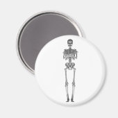 スケルトン3Dモデル： マグネット (正面/裏面)