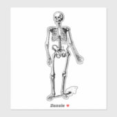 スケルトン シール (シート)