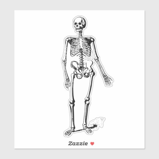 スケルトン シール (シート)