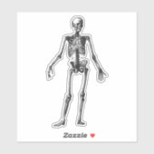 スケルトン シール (シート)