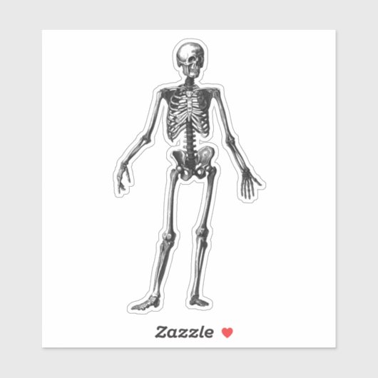 スケルトン シール (シート)