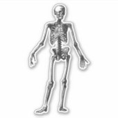 スケルトン シール (正面)