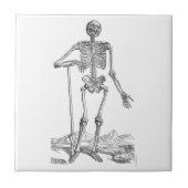 スケルトン タイル (正面)