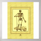 スケルトン ポスター (正面)