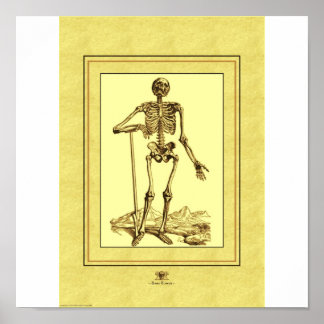 スケルトン ポスター