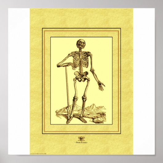 スケルトン ポスター (正面)