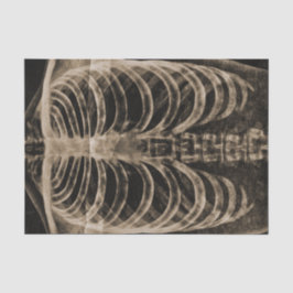 スケルトンX線リブケージヴィンテージセピア黒ゴシック 薄葉紙