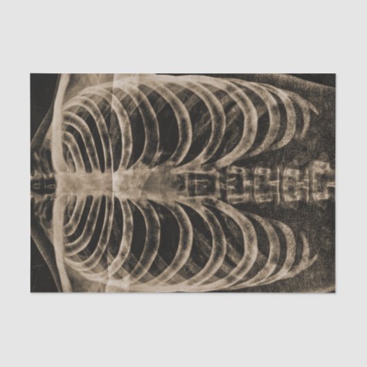 スケルトンX線リブケージヴィンテージセピア黒ゴシック 薄葉紙 (正面)