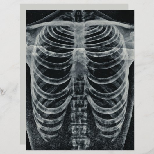 スケルトンX線リブケージヴィンテージ白黒ゴシック (正面/裏面)