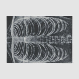 スケルトンX線リブケージヴィンテージ白黒ゴシック 薄葉紙