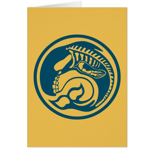 スケレオルカ (正面)