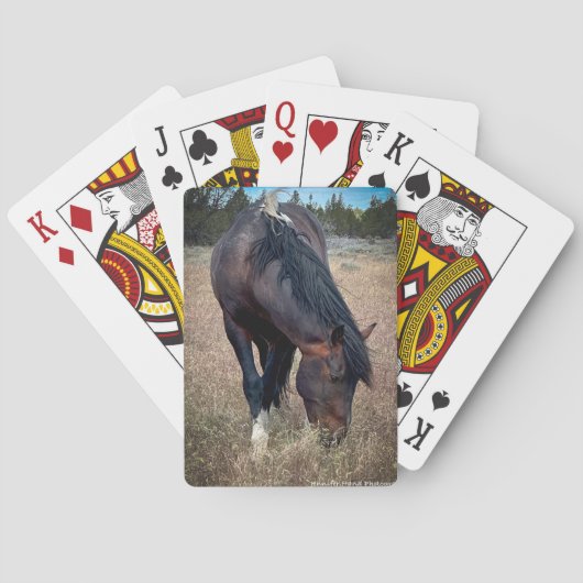 スケーター トランプ (裏面)