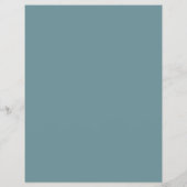 スケートで滑るイン・パーク，アイススケートリンク広告ズ チラシ (裏面)