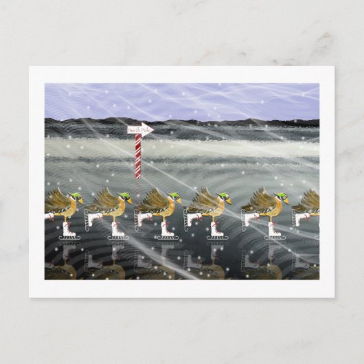 スケートで滑るダックスforクリスマス シーズンポストカード (正面)