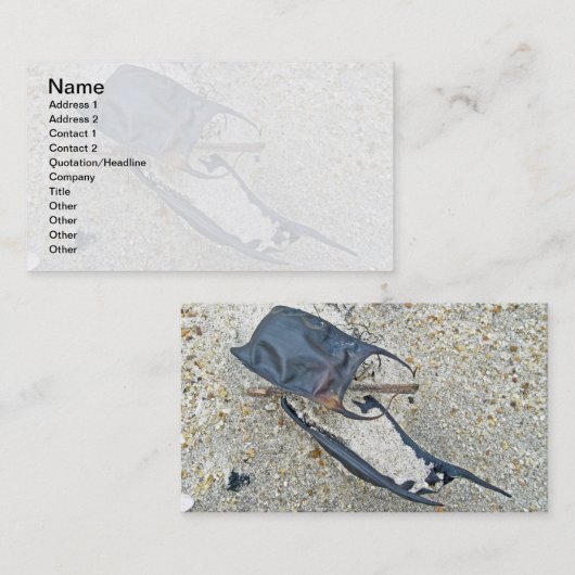 スケートエッグケースオンビーチ 名刺 (正面/裏面)