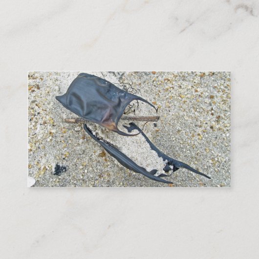 スケートエッグケースオンビーチ 名刺 (裏面)