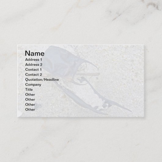 スケートエッグケースオンビーチ 名刺 (正面)