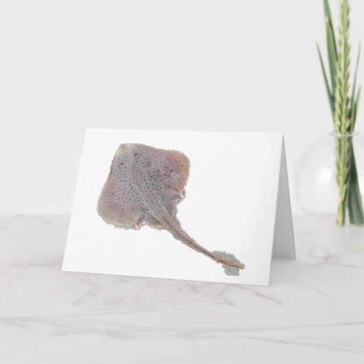 スケートノートカード カード (正面)