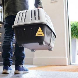 スケートボードダシュント犬の黄色い三角形のシール 三角形シール